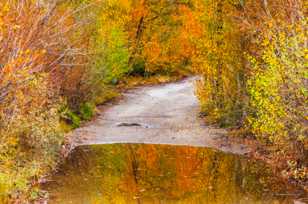 A pool in the road-9217.jpg A pool in the road-9217.jpg
